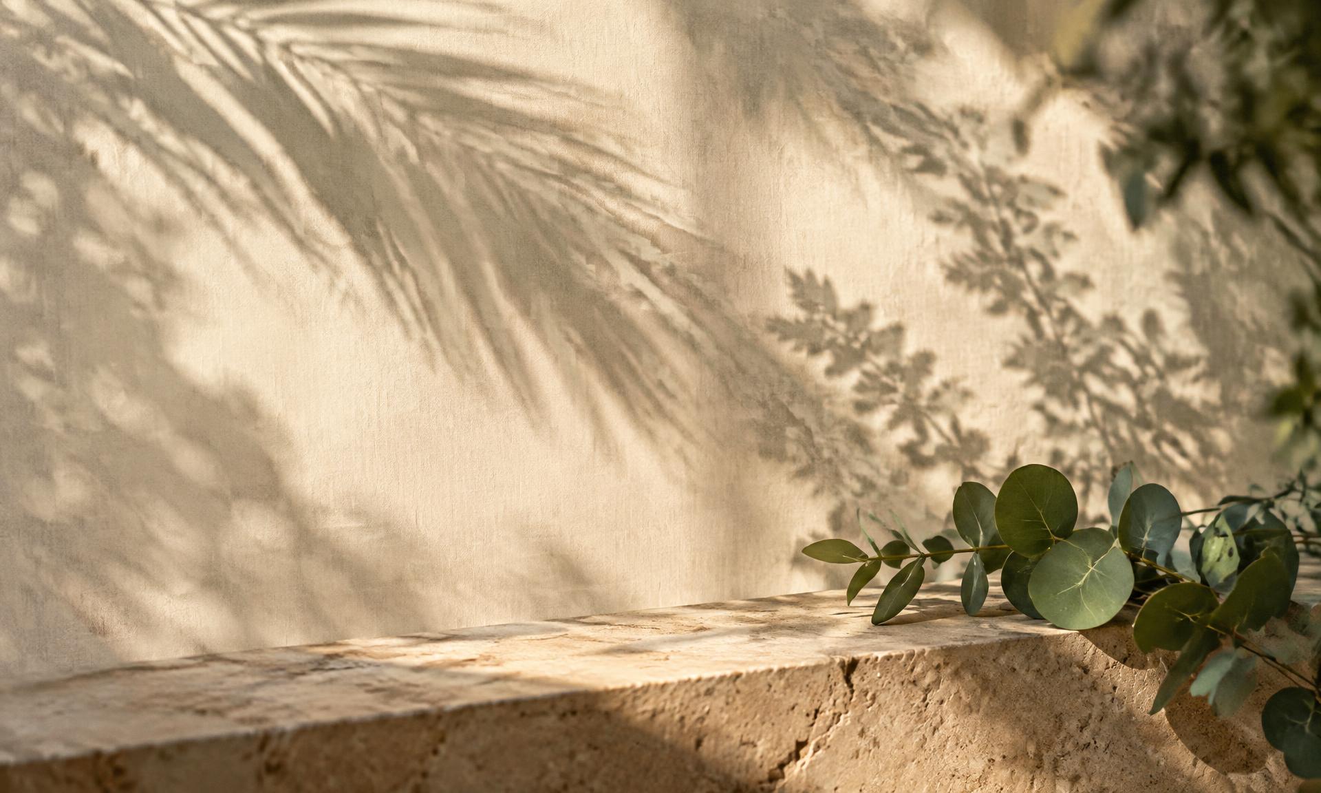 Sombras de palma y eucalipto sobre un muro de lino y piedra